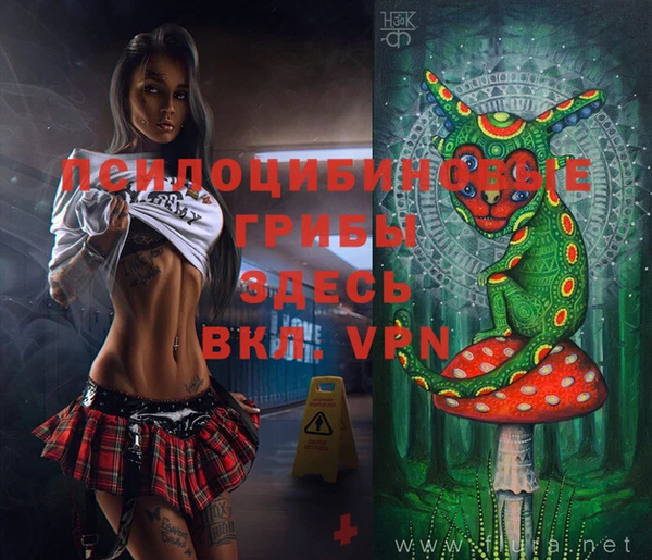 первитин Вяземский