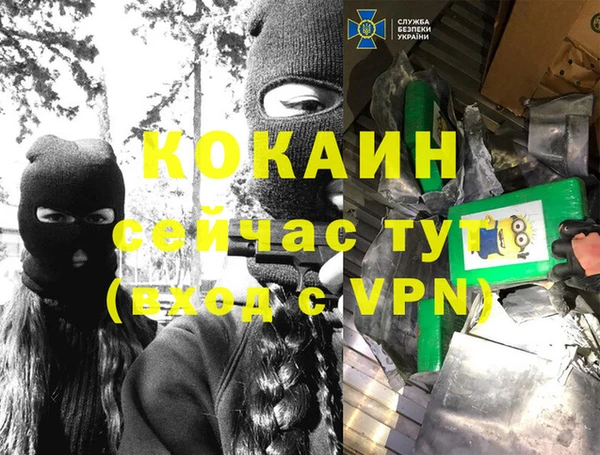 ПСИЛОЦИБИНОВЫЕ ГРИБЫ Вязники
