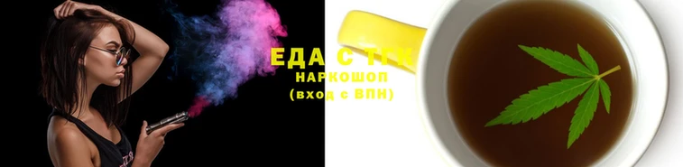 стафф Вязьма