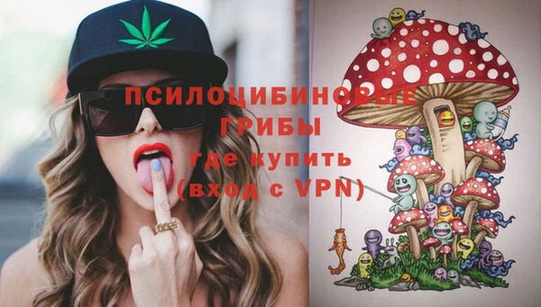 первитин Вяземский