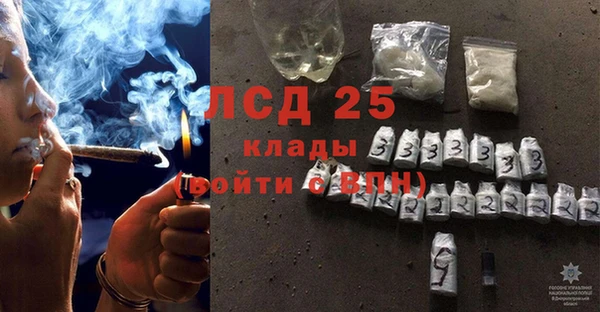 ПСИЛОЦИБИНОВЫЕ ГРИБЫ Вязники