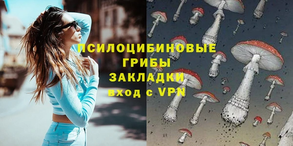 ПСИЛОЦИБИНОВЫЕ ГРИБЫ Вязники