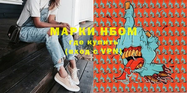 ПСИЛОЦИБИНОВЫЕ ГРИБЫ Вязники