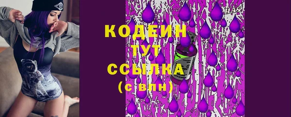 первитин Вяземский