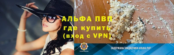 ПСИЛОЦИБИНОВЫЕ ГРИБЫ Вязники